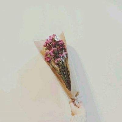 破刀烂剑传游戏